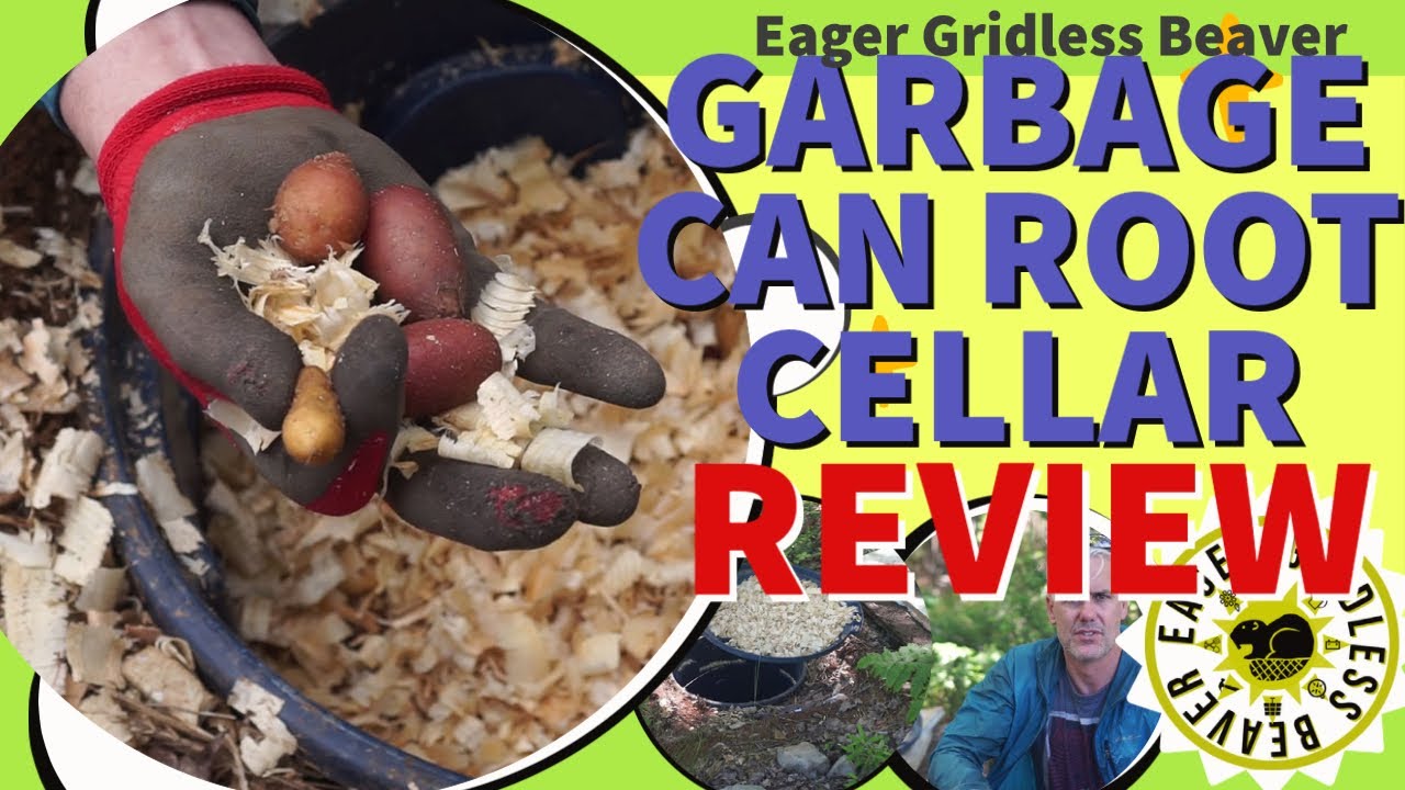 Garbage Can Root Cellar Review: 2 Years of Cellar Bliss!!