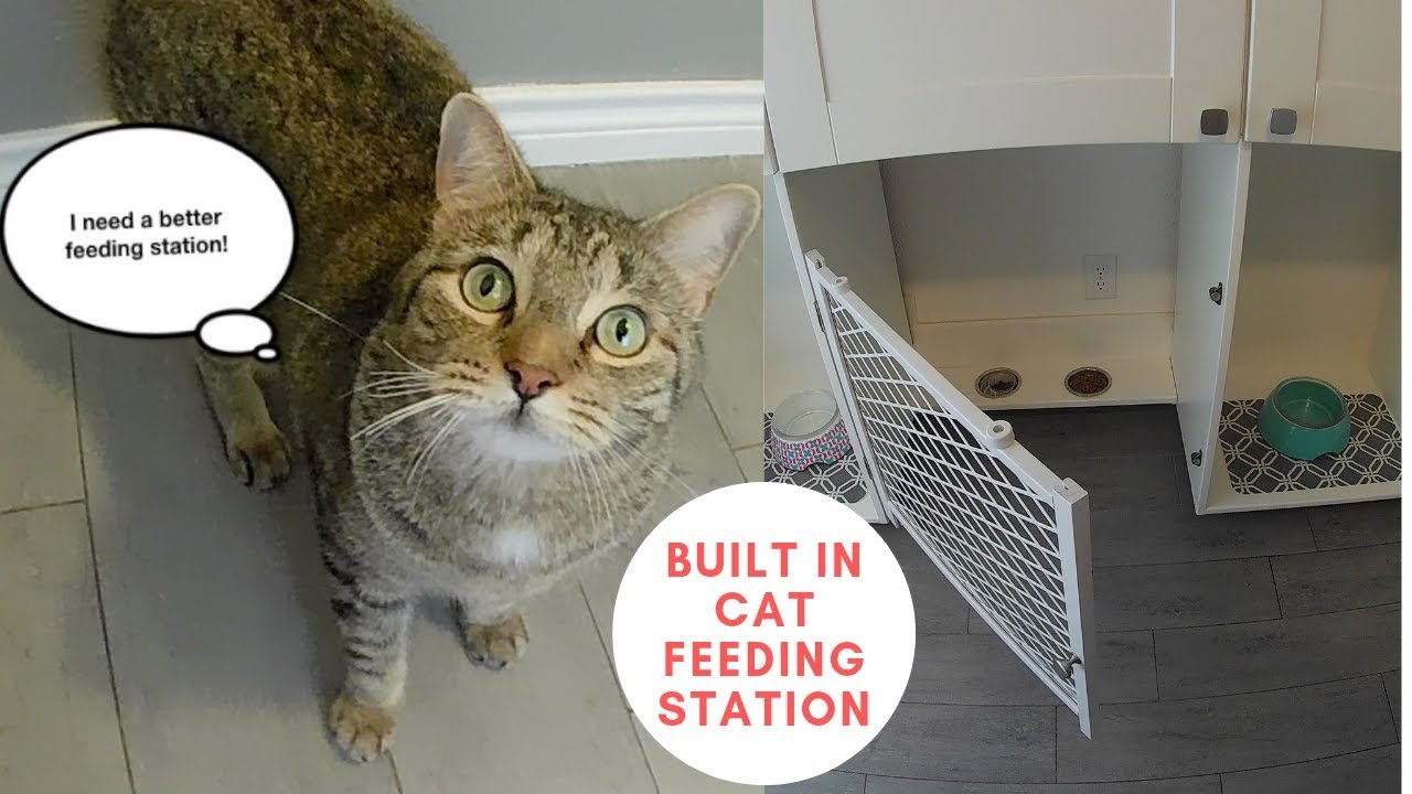 DIY Cat of Dog Bowl Stand - Feeding station