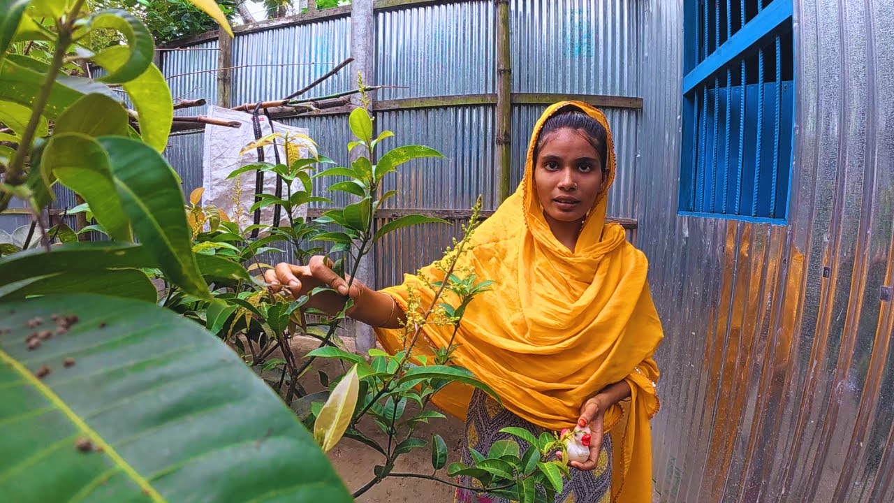 দুধের স্বাদ ঘোলে মিটাইতেছি তাছারা করার কিছুই নাই । Lr Agro