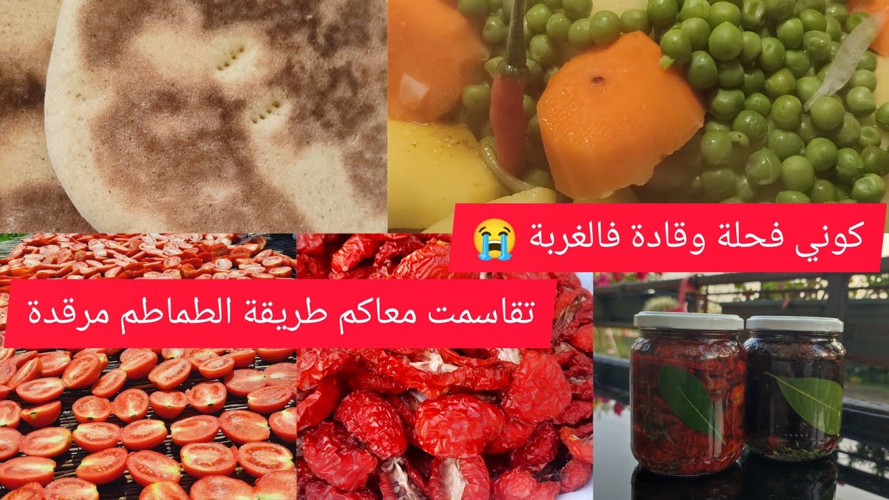 وداعا للكسل كوني إمرة قادة وفحلة واخا فالغربة 😭