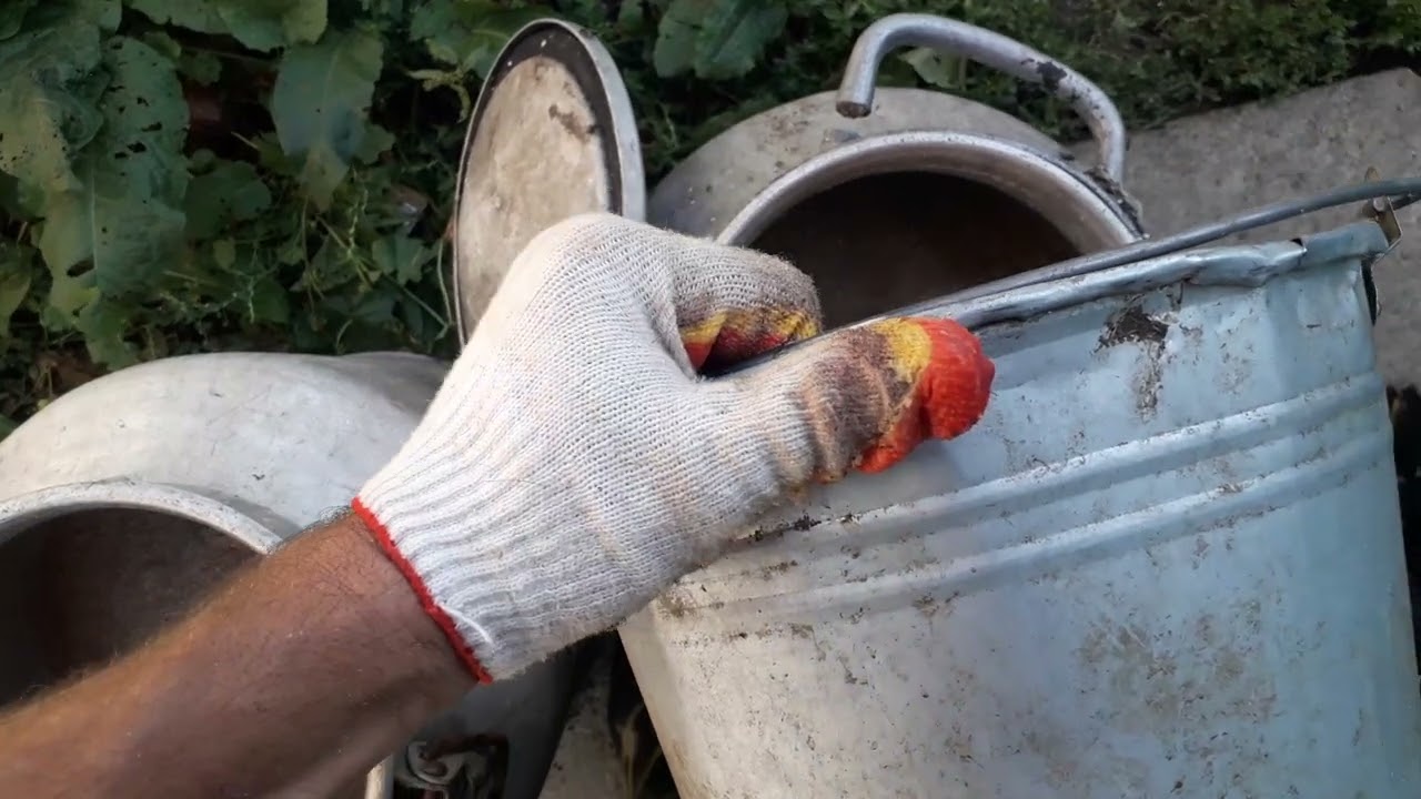 Выделка сыромятины КРС.