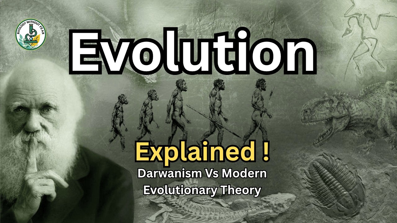 Evolution Explained Simply | Darwinism to Modern Evolution Theory
