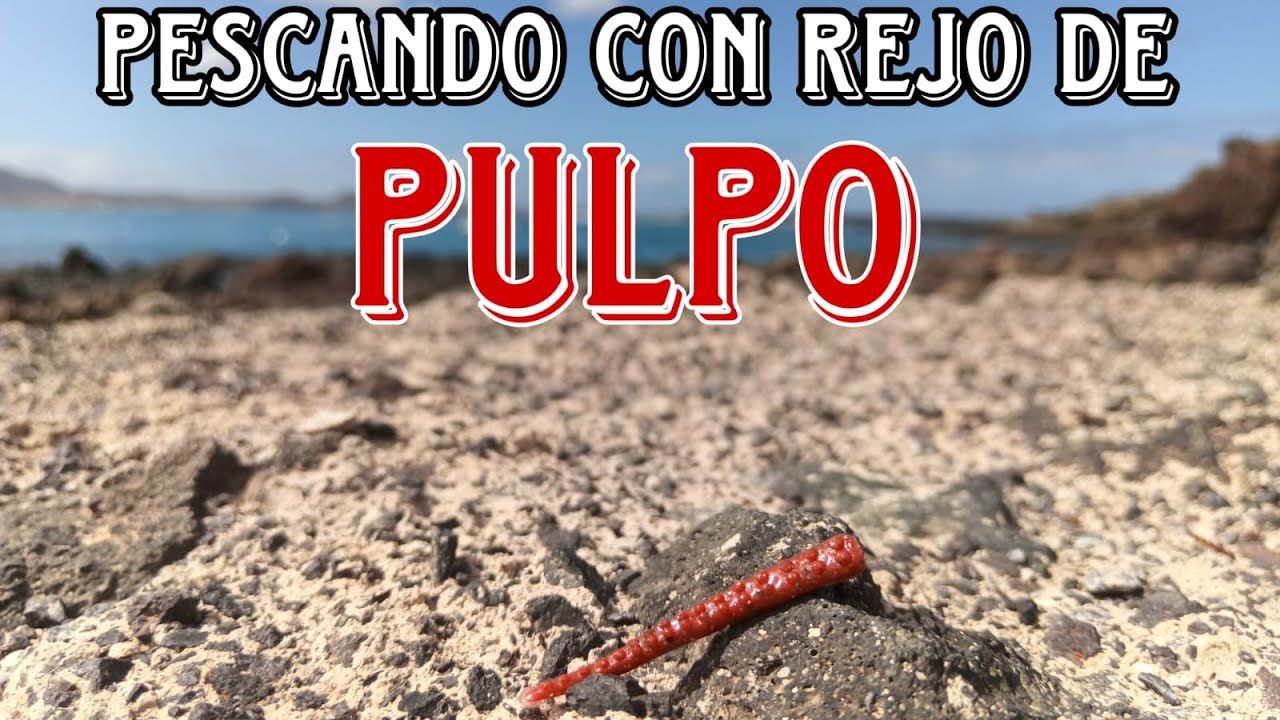 Pescando con REJO De PULPO y.....? Rockfishing en CANARIAS