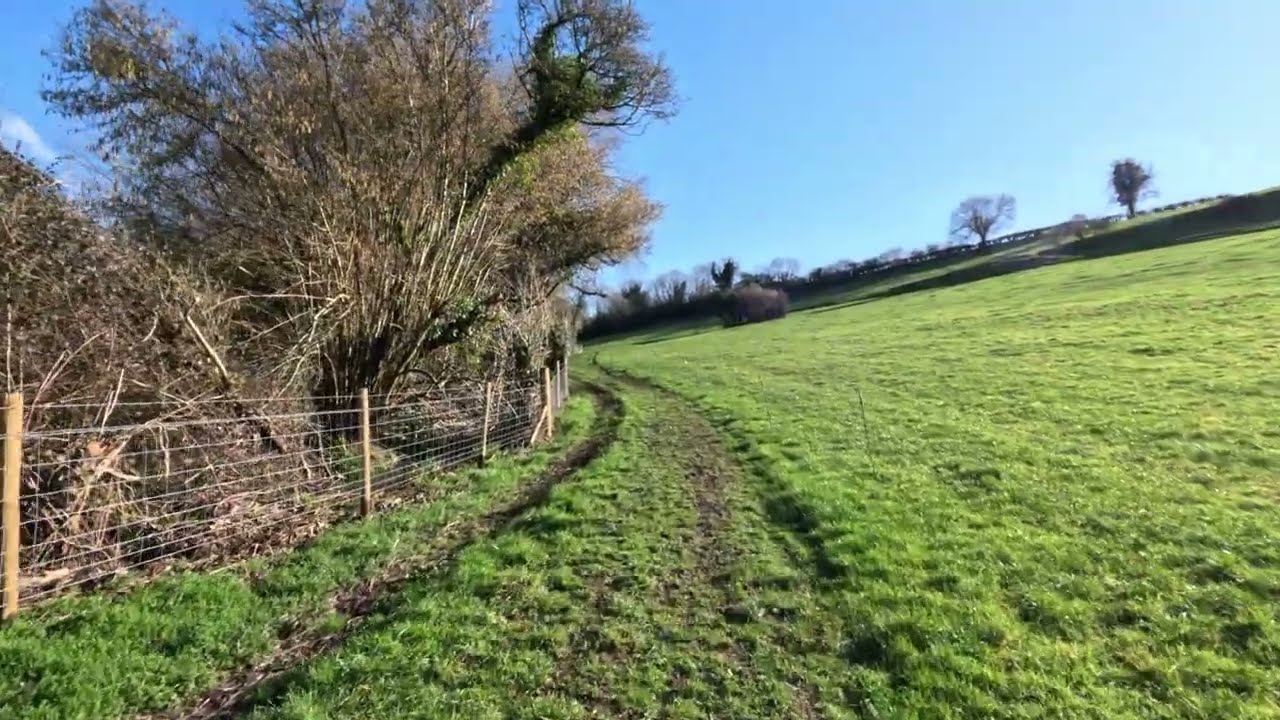 A Quiet Walk Along Rolling Fields