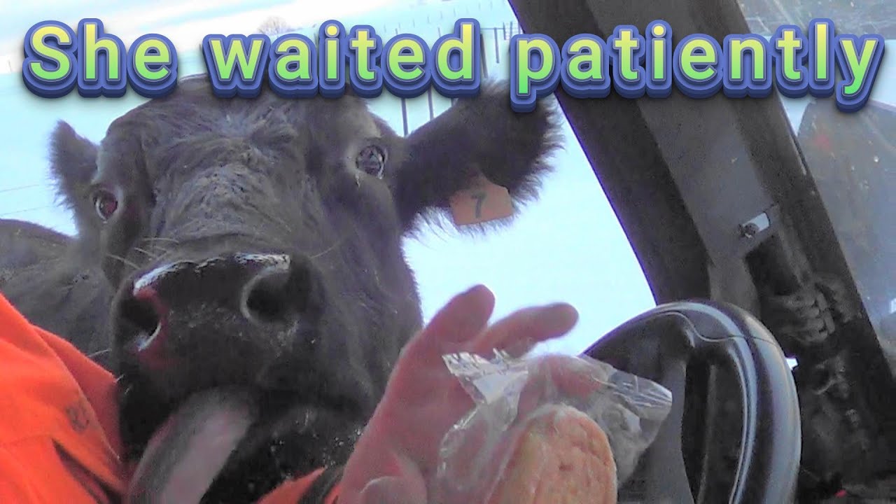 She waited patiently