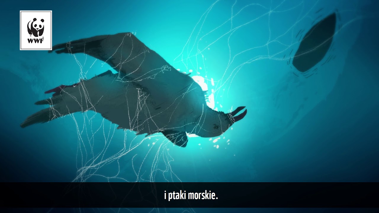 Animacja o sieciach widmo - WWF / Marelitt Baltic