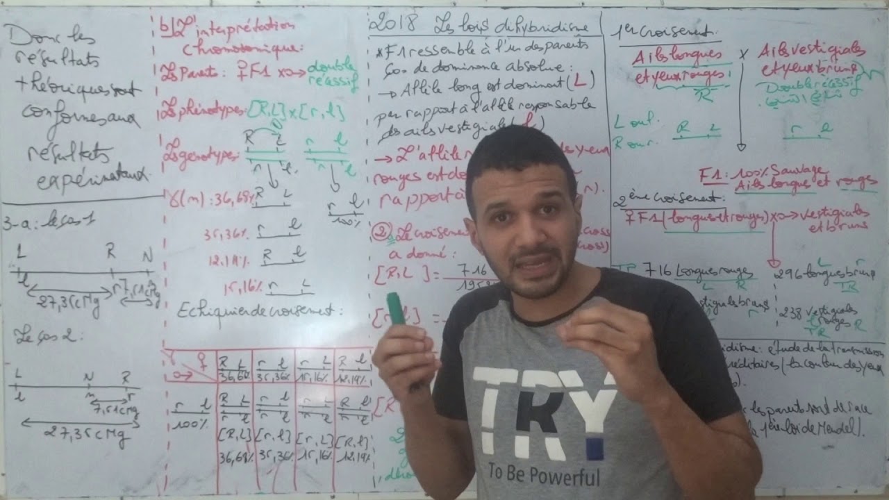 الحلقة 13 الاستعداد للامتحان الوطني Les lois statistiques dihybridisme