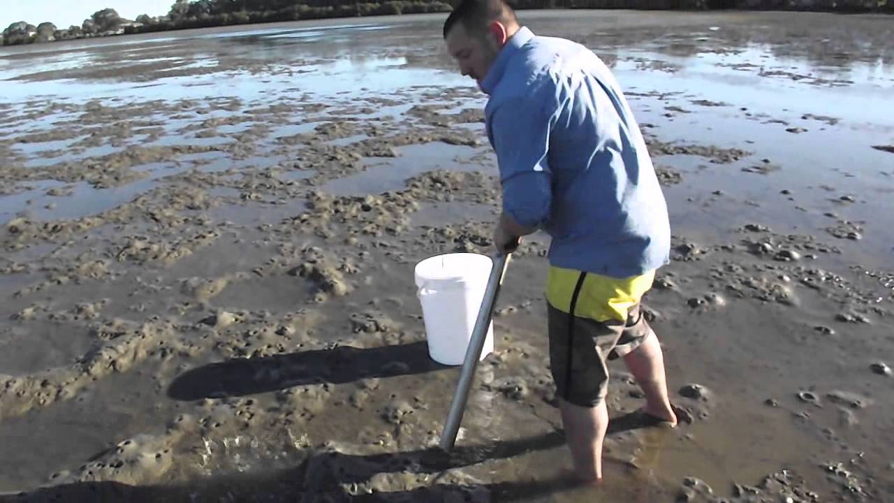 how to pump salt water yabbies