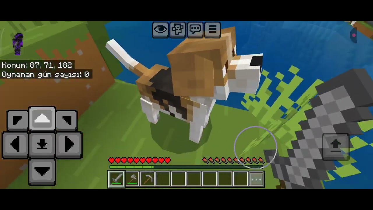 Minecraft modlu survival 