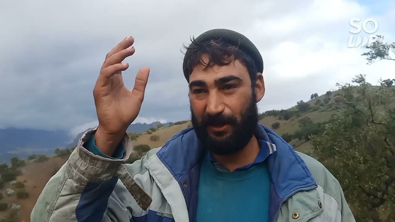ameɣar azemni (chatwa).