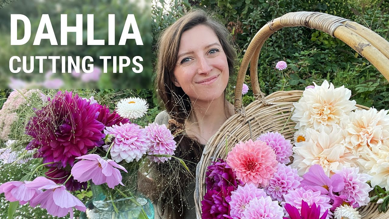 How To: Cut Your Flowers for More Blooms 