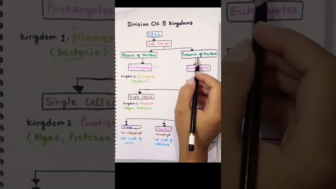 Tricks to learn 5 kingdom classification||What is 5 kingdom classification#boardexams#neet