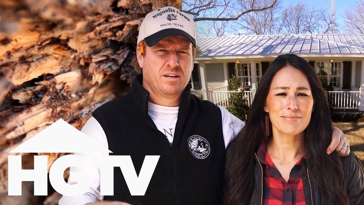 Chip And Jo Have To Get Rid Off All The Pests Before Starting This House's Renovation | Fixer Upper