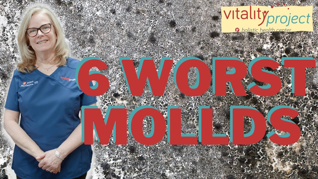 The 6 Most Dangerous Types of Mold