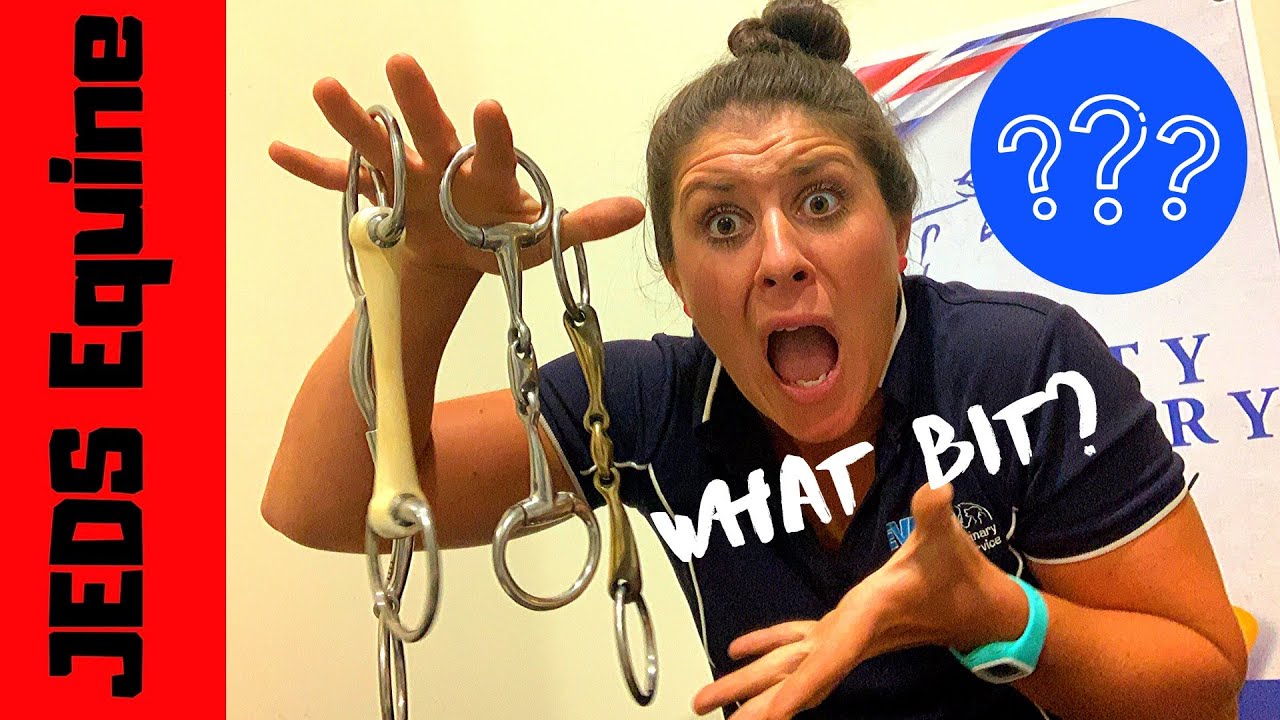 HORSE BITS | What I Use & Why | JEDS Equine