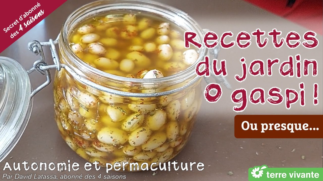 Recettes pour un apéro 0 gaspi ! Autonomie et permaculture avec David
