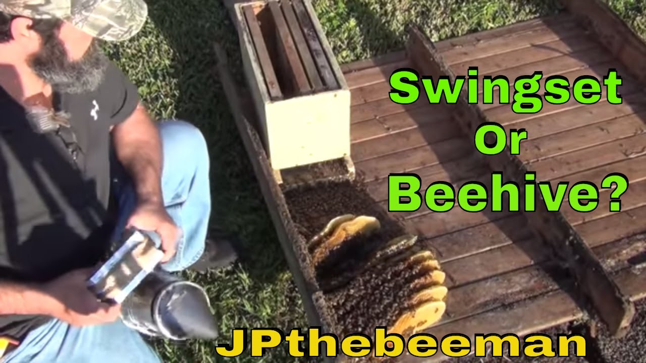 My Kids' Swing Set Is Full Of Bees! (Now What?)