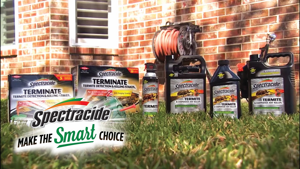 Spectracide® Solutions | Termite & Carpenter Ant Control