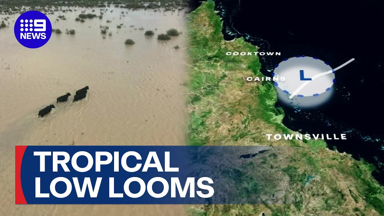 Tropical low looms off Queensland coast | 9 News Australia