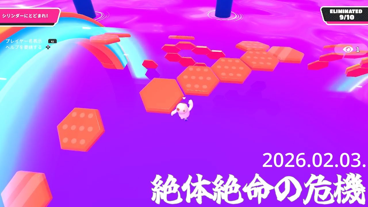 【Fall Guys】一緒に遊んでください！Feb.3 #fallguys #毎週火曜日はたまごの日