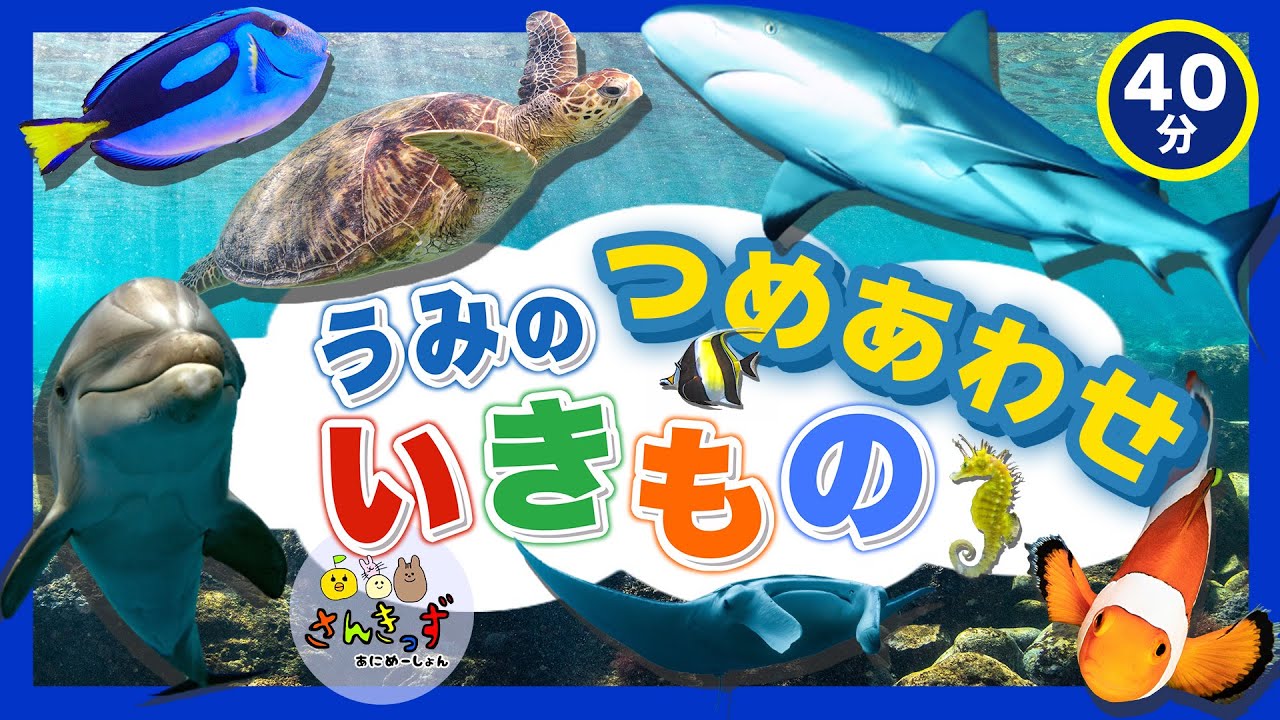 【海のいきもの大集合】子供向け 水族館の知育動画まとめpart5 うみのいきもの お魚さんがたくさん登場するよ☆ 【40分連続再生】イルカ サメ ウミガメ