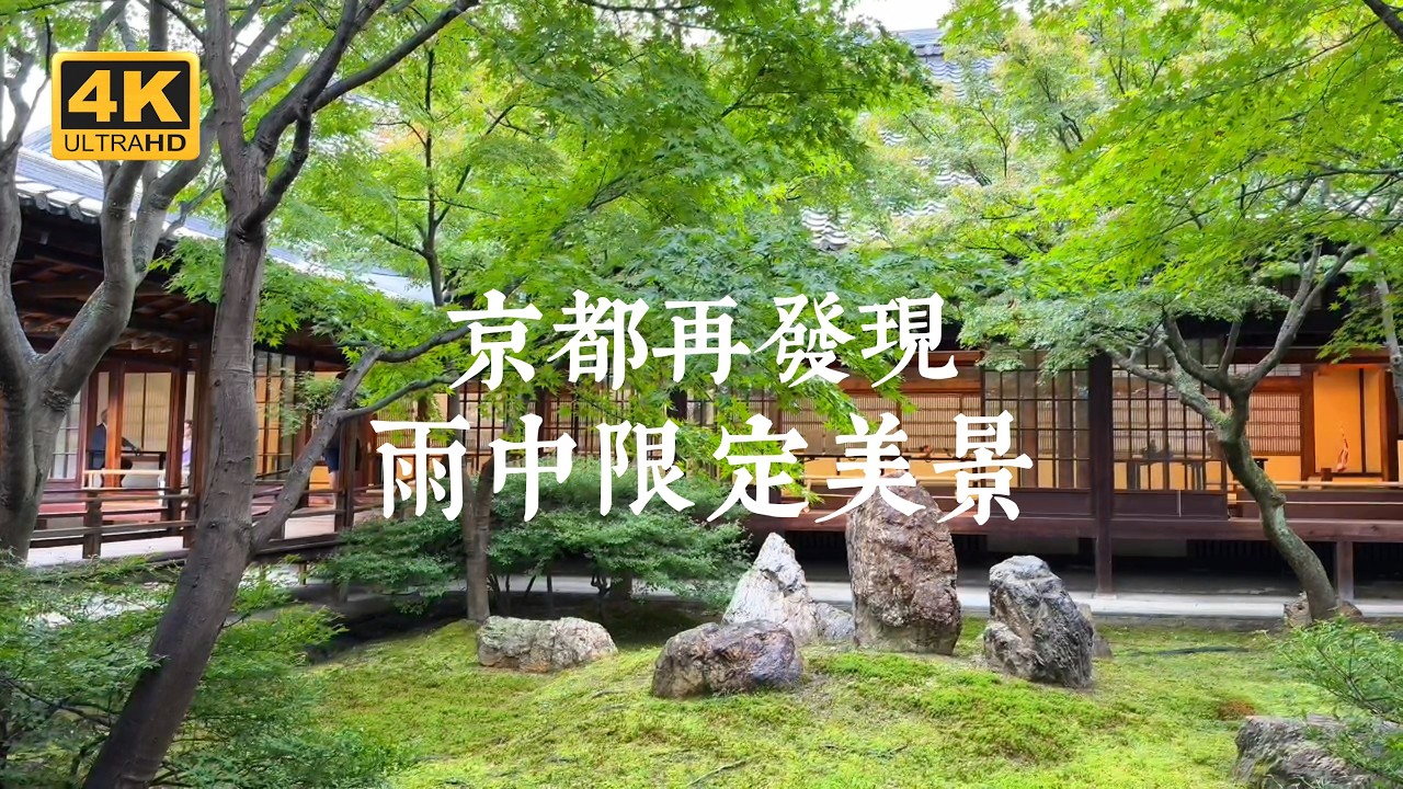 【京都一人旅 EP29】雨天限定美景！京都四間適合雨天坐著發呆的寺院 | 隨心院、鹿王院、妙心寺退藏院、黃檗山萬福寺