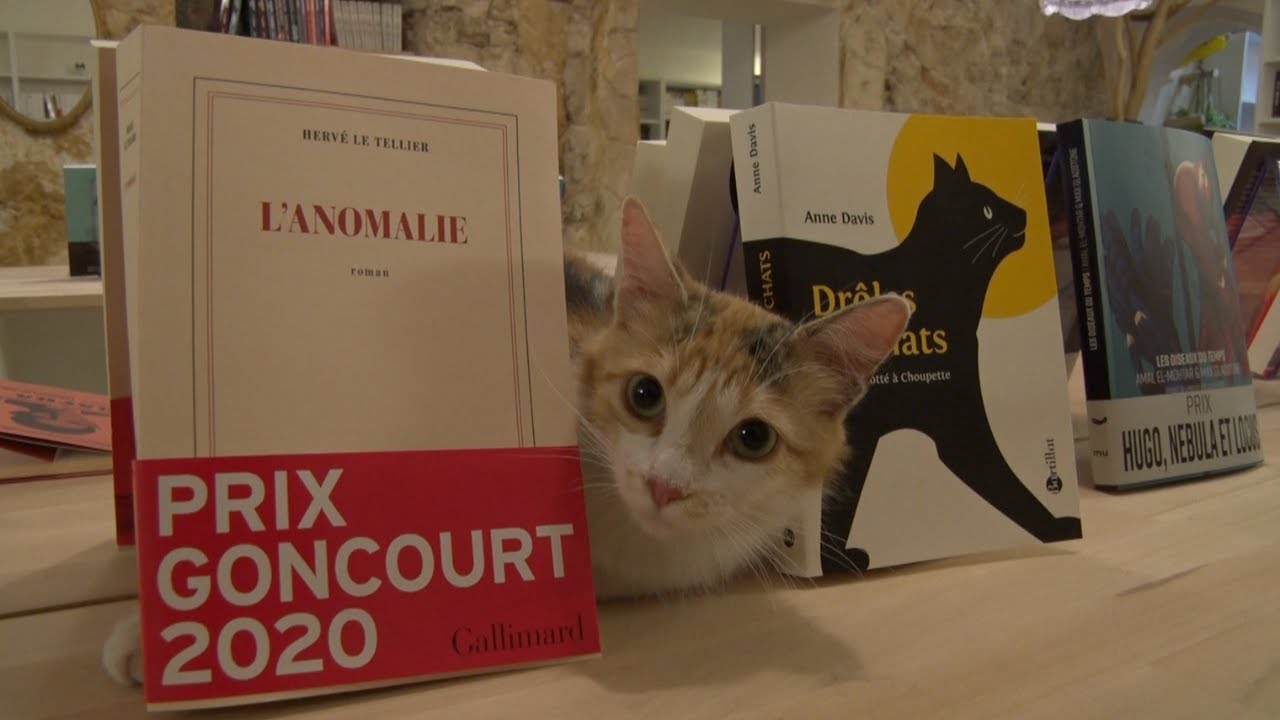 AIX : UNE LIBRAIRIE CHAT'CR&Eacute;MENT ORIGINALE !