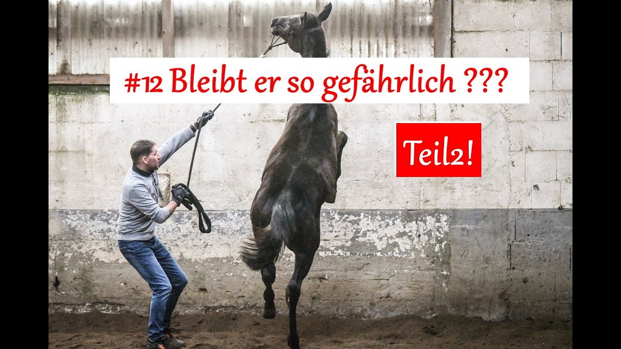 #12 Bleibt er so gefährlich???
