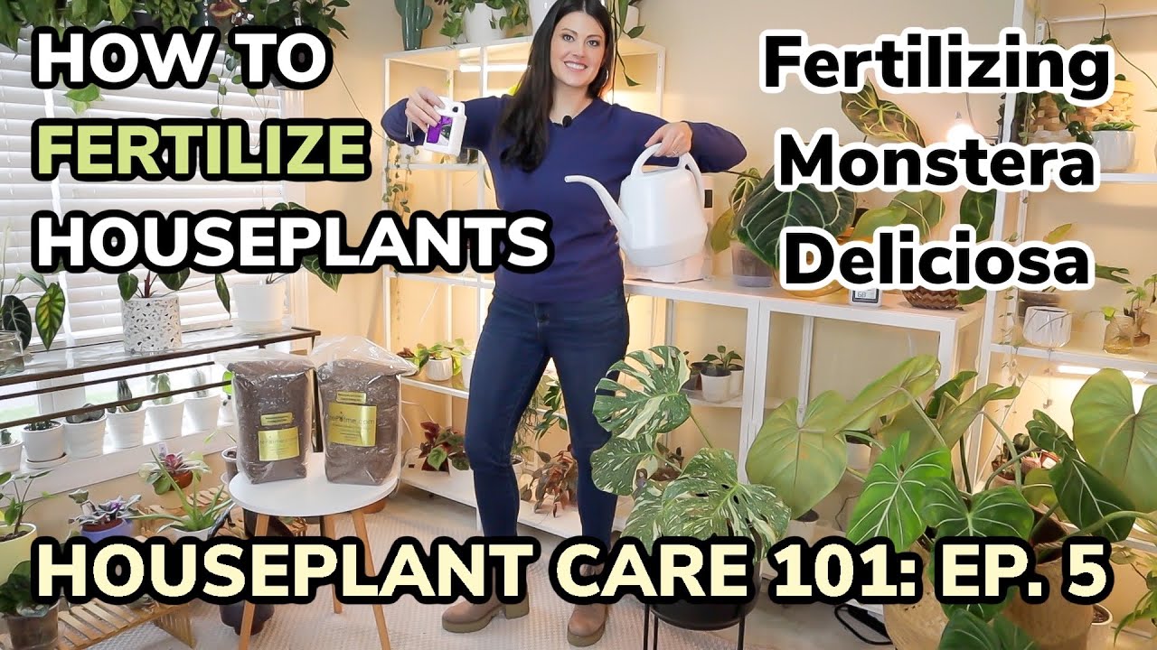 Houseplant Care 101: How To Fertilize Houseplants - Monstera Deliciosa Care & Fertilizing - Ep. 5