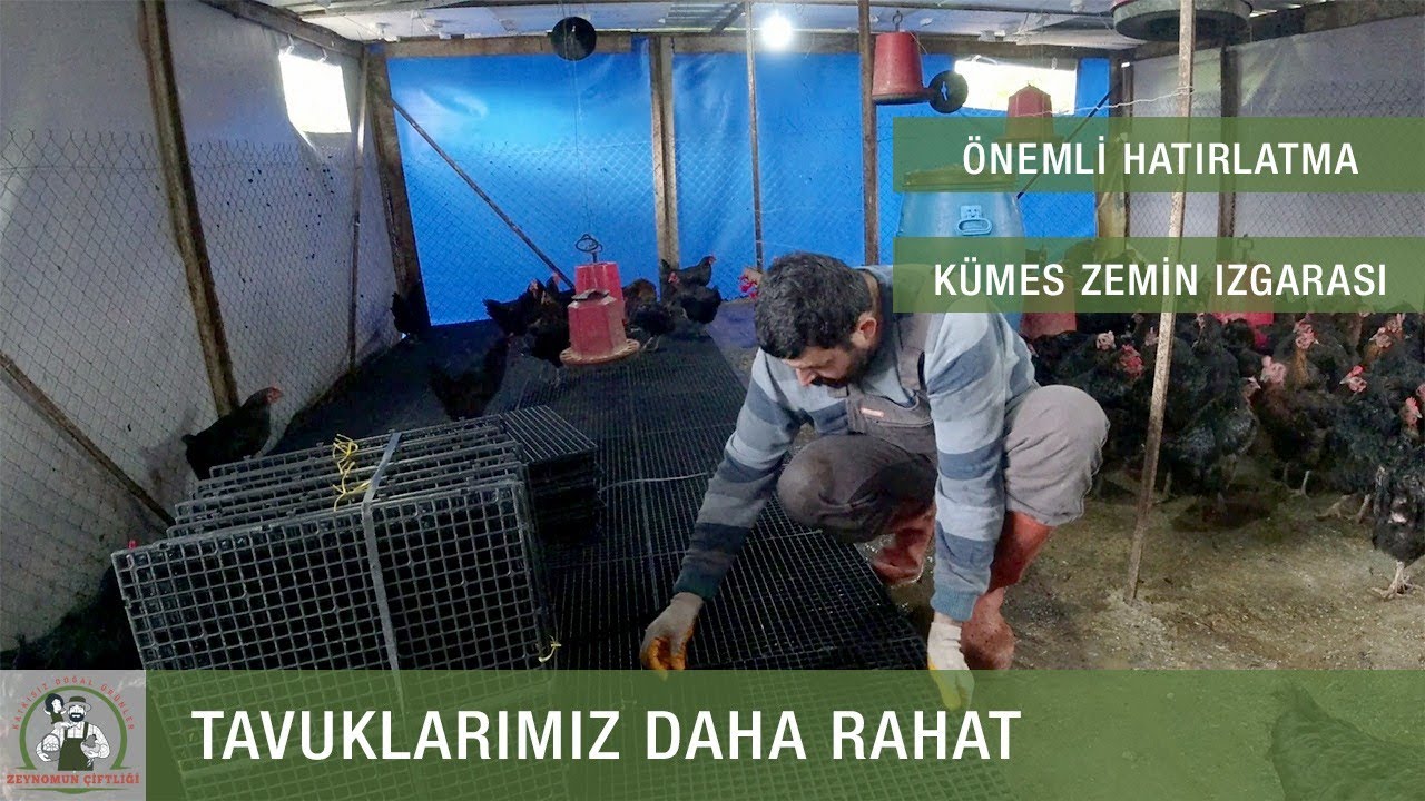 Kümes Zemin Izgara Montajı | Kümeste Son Durum