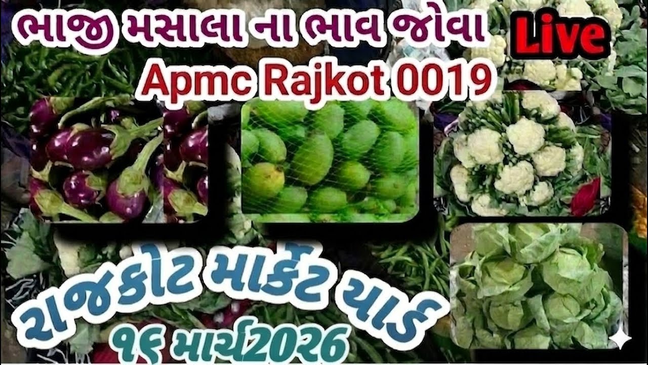 Rajkot market yard 16/03/2026 green vegetable price 