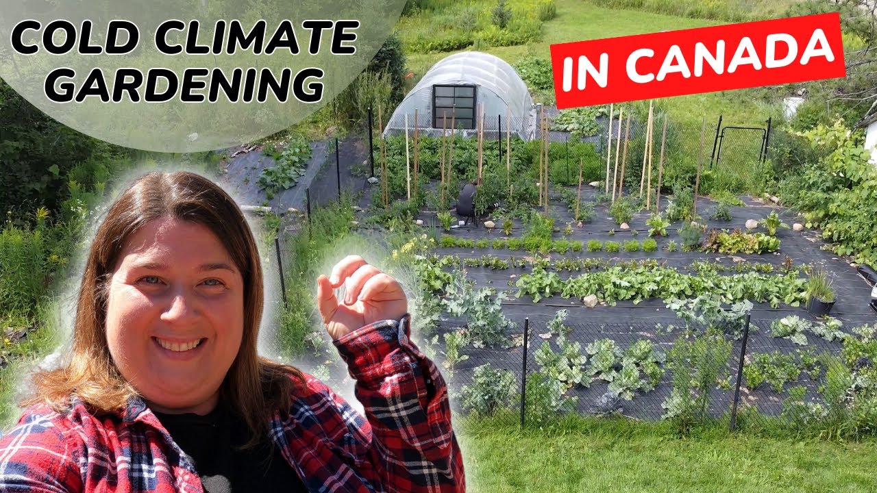Cold Climate Gardening | Gardening In Canada