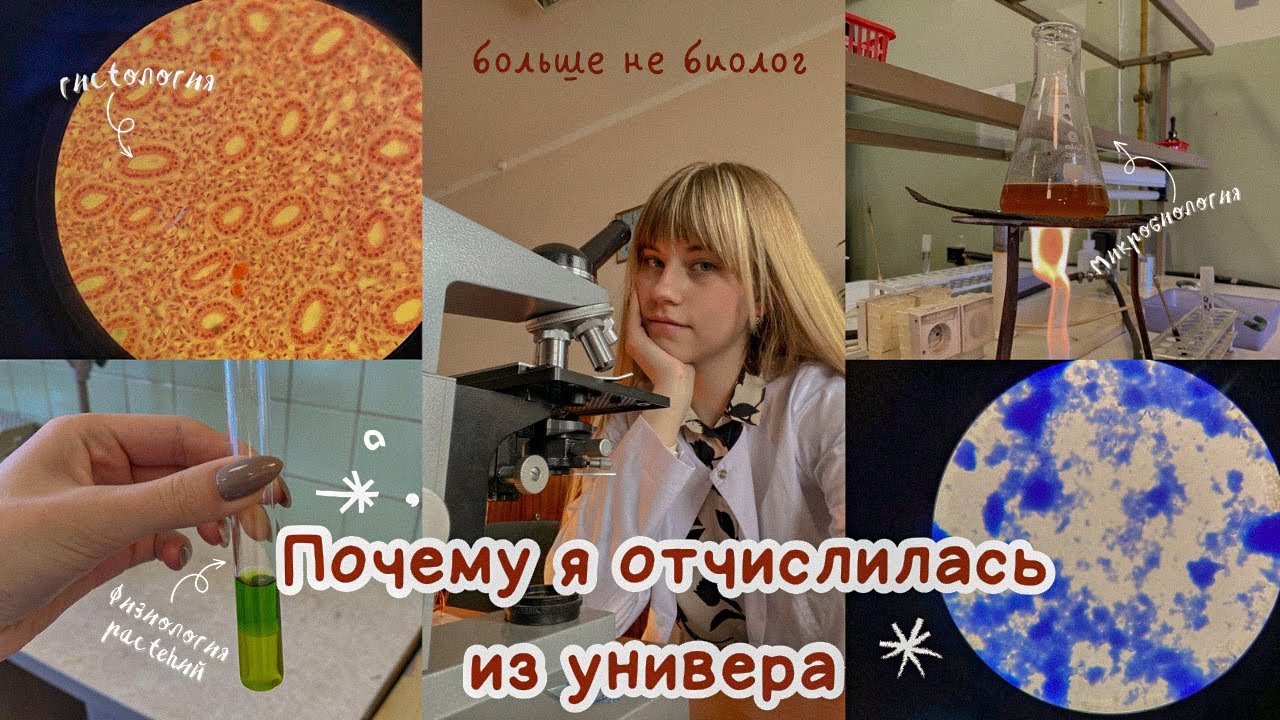 Почему я отчислилась из универа // что будет дальше