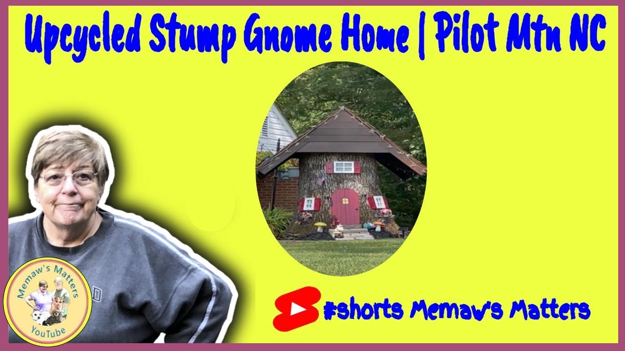 Upcycled Stump Gnome Home | Pilot Mtn NC#shorts