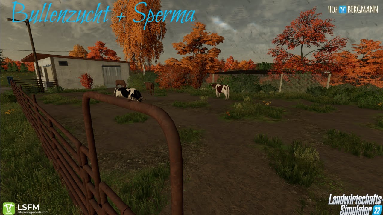 Hof Bergmann- Promowochen-Beta 0 - Tutorial Bullenzucht + Sperma