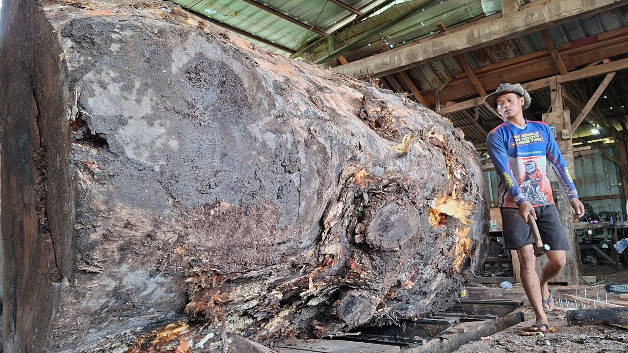 Working in a Giant Sawmill is Full of Risks! Safety is Priority 