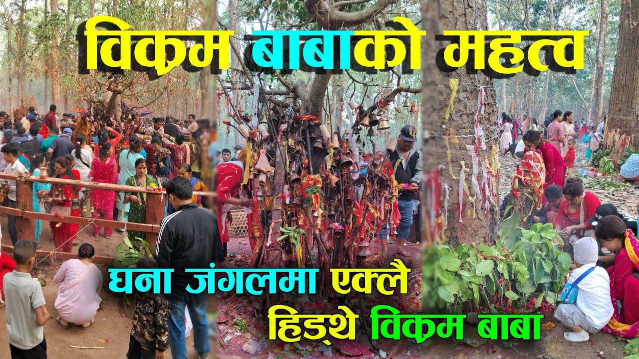 विक्रम बाबाको महत्व, आफूले चिताएको मनोकामना पूरा हुने ! Bikram Baba Temple Chitwan.