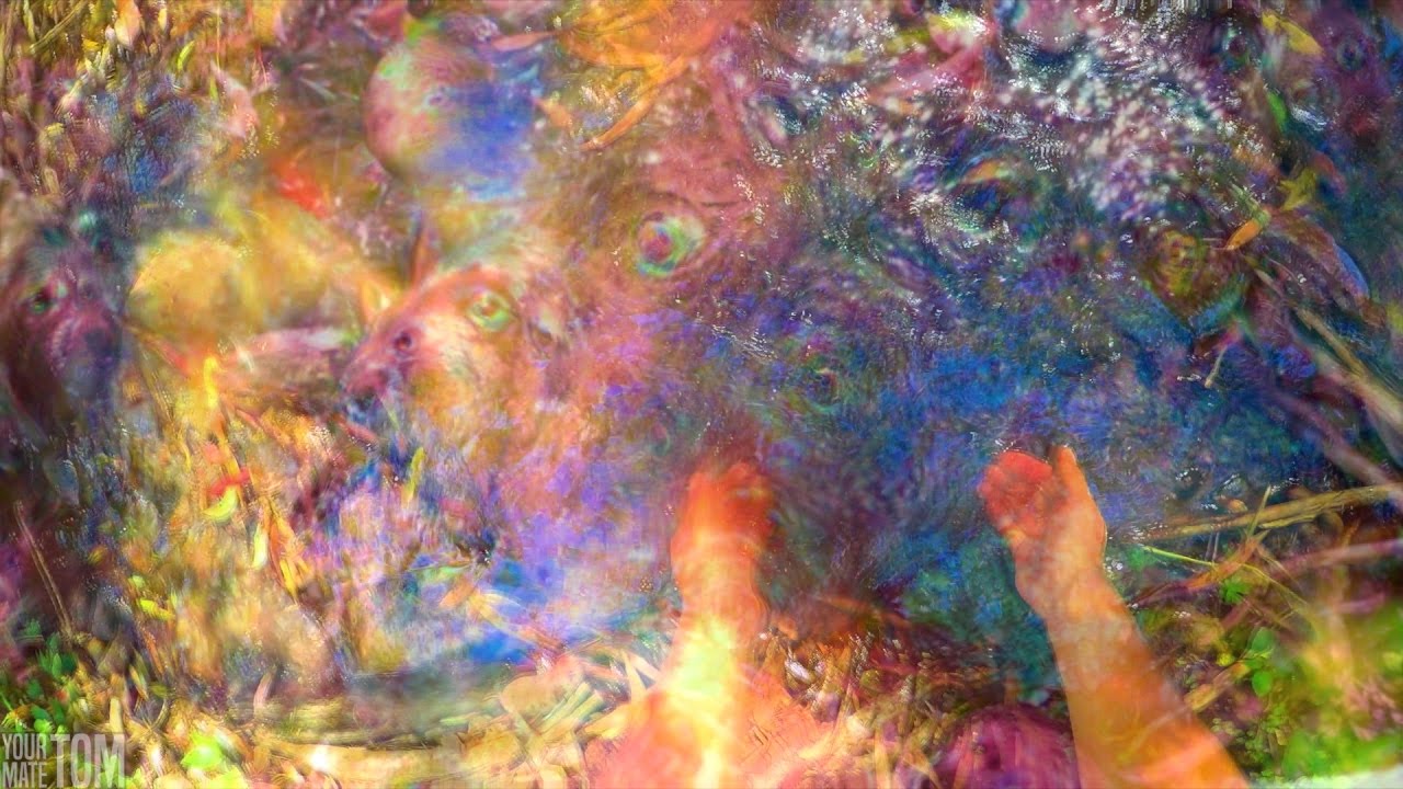 High Dose SHROOMS Trip Simulation (POV) | PSYCHEDELIC Forest Adventure