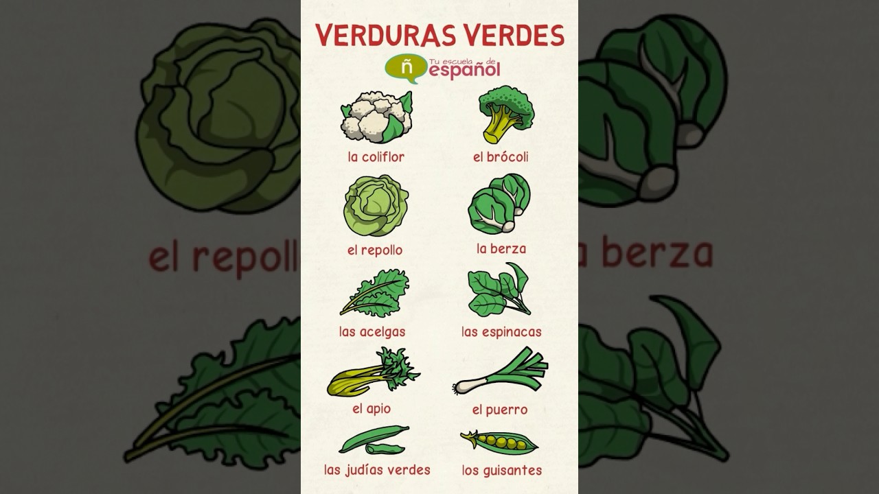 #aprenderespa&ntilde;ol Vocabulario de las Verduras Verdes