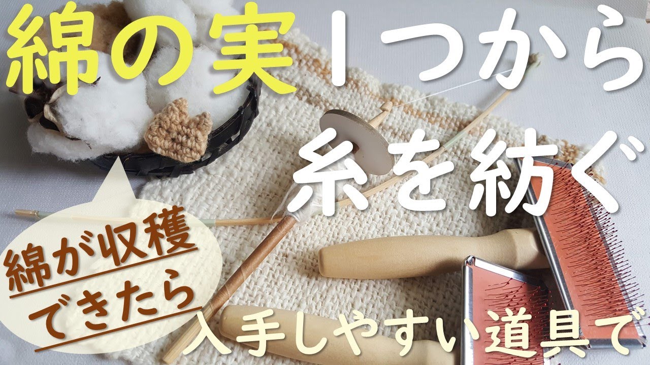 綿の実ひとつから糸を紡ぐ　Spinning yarn from a cottonboll　綿が収穫できたら、自作や簡単に入手できる道具を使い、こんな利用法・楽しみ方もおススメ。※高画質視聴推奨
