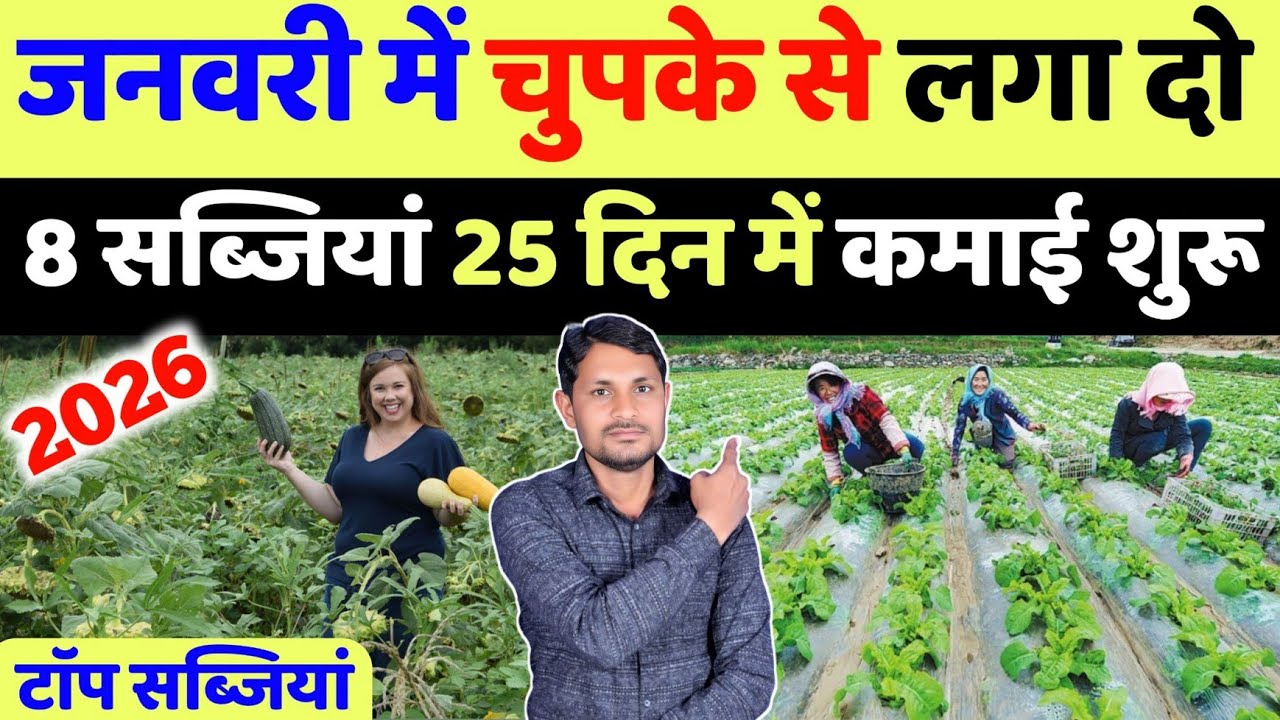 जनवरी में लगा दो सबसे बेस्ट 8 सब्जियां | january me konsi sabji lagaye | january me sabji ki kheti