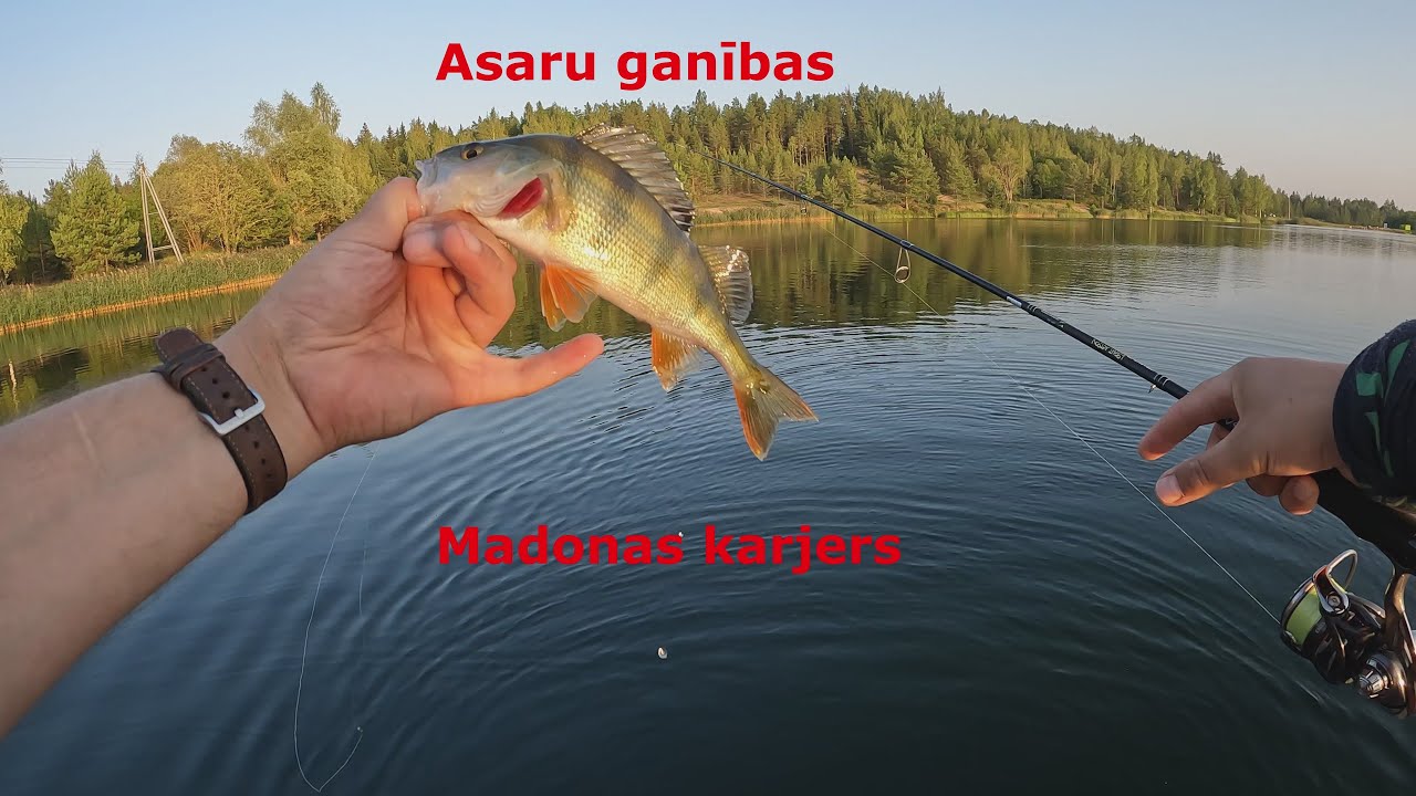 Asaru ganības