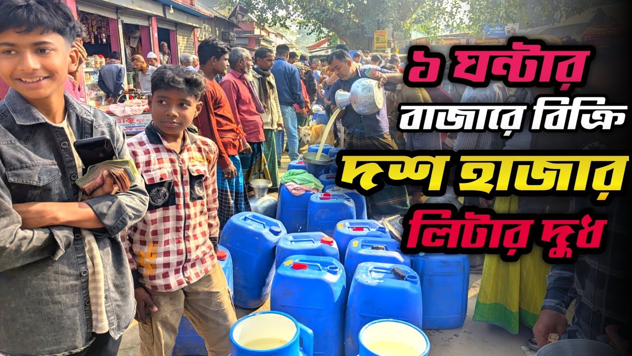 প্রতিদিন দশ হাজার লিটার দুধ বিক্রি হয় গোপালপুর দুধ বাজারে । Milk Market। Manikganj। Swadesh Agro ।