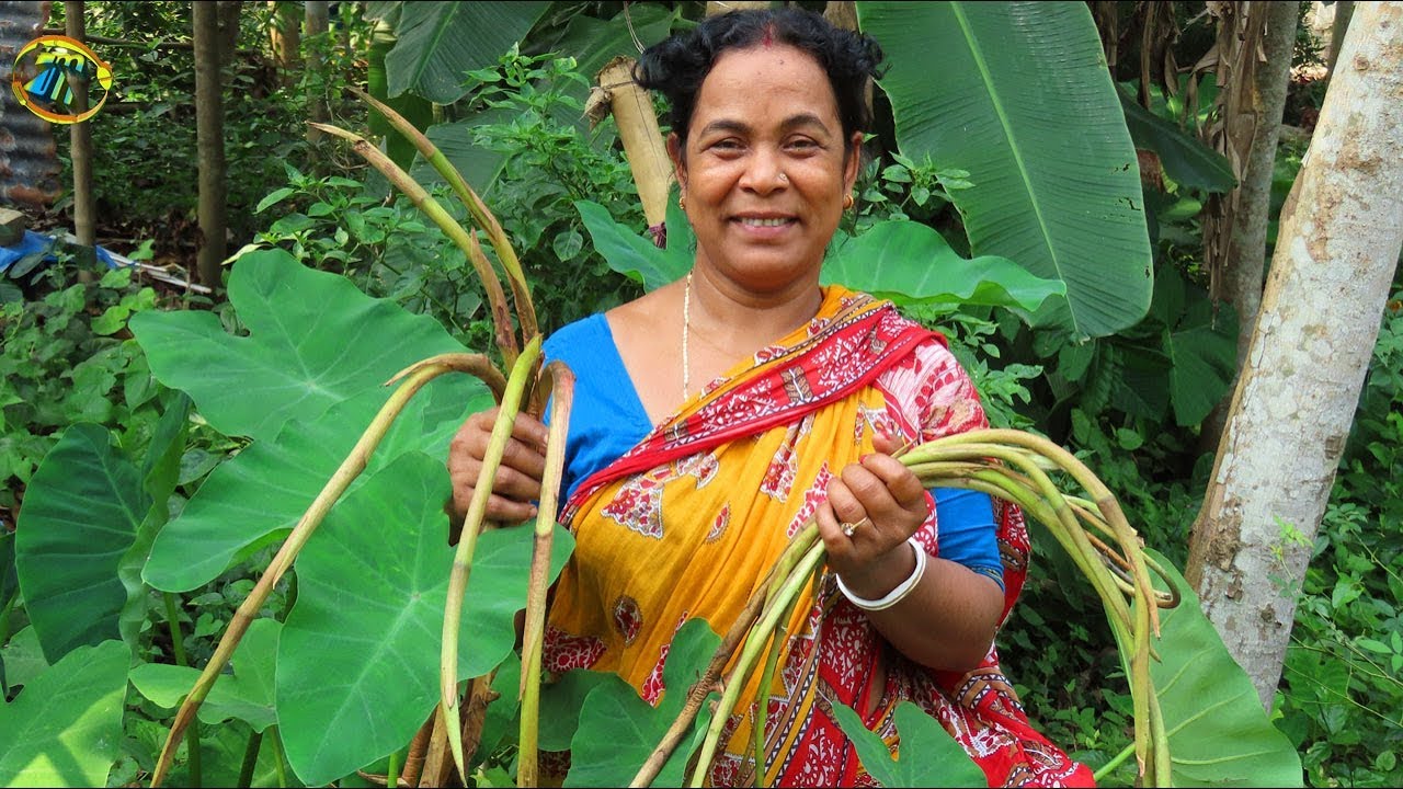 গ্রাম্য পদ্ধতিতে রান্না করা সুস্বাদু কচুর লতি||Very Tasty quickly cooking Stolon of Taro