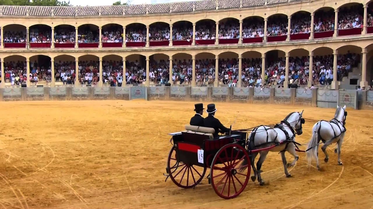 Concurso Exhibición de Enganches de Ronda. 2013
