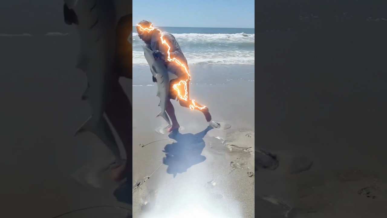 Shark Fishing at the Beach - HOW DID THIS HAPPEN?