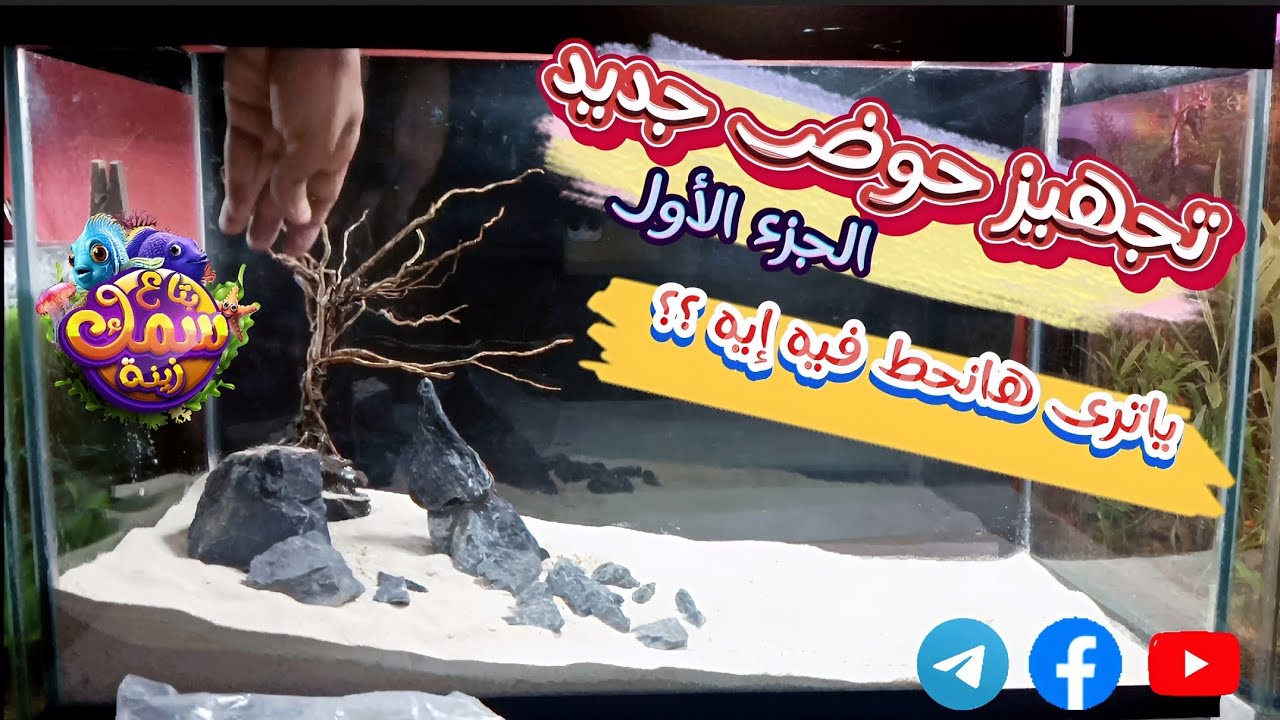 تجهيز حوض سمك زينه صحراوي(الجزء الاول)