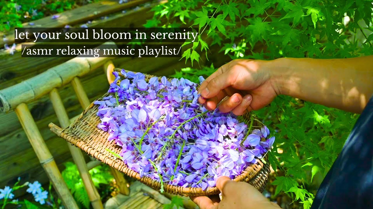 let your soul bloom in serenity  - /asmr relaxing music playlist/