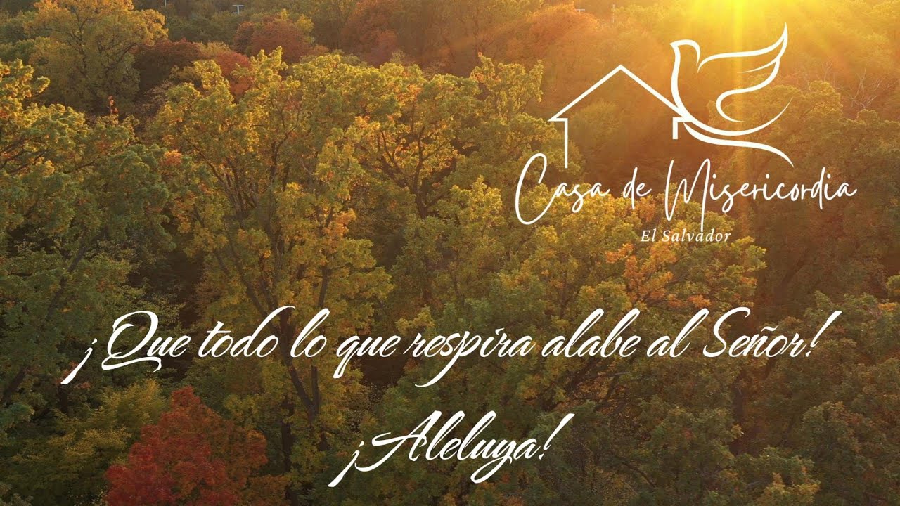 Que todo lo que respira alabe al Señor II