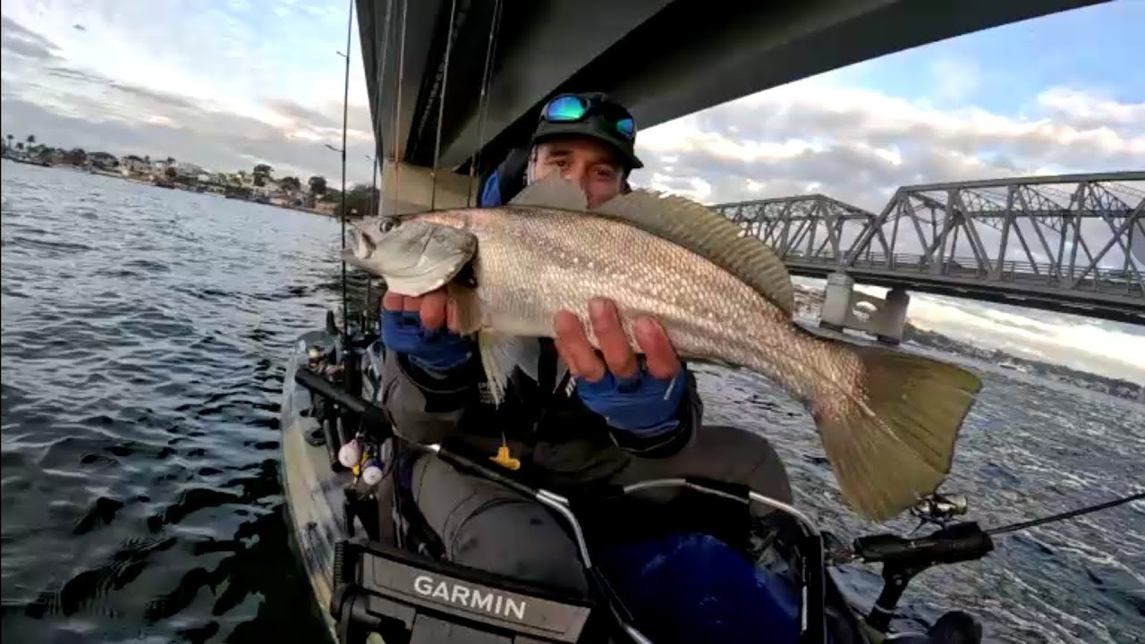 Georges river ,Rd 5 of the Hobie series mixed species caught.